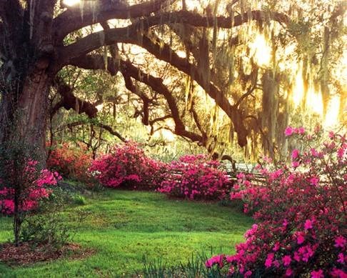 Obituary of Betty Wilkinson Mills