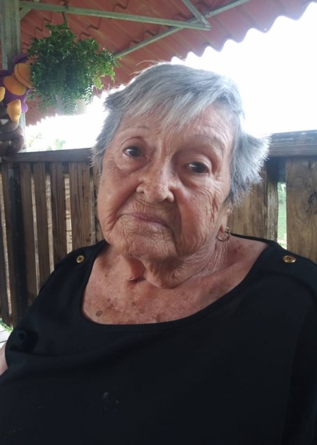 Obituary of Luz Nereida Figueroa Torres