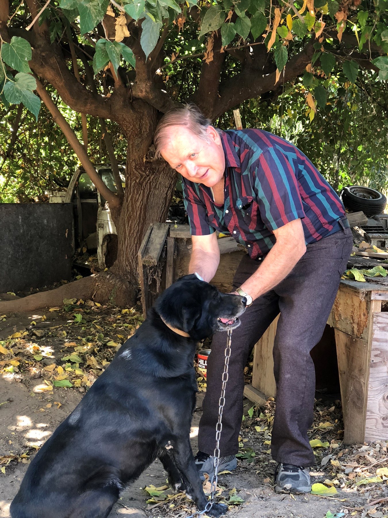 James Mathison Obituary - Dinuba, CA