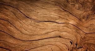 Obituary of Ronald Jonh Rivera Olmeda