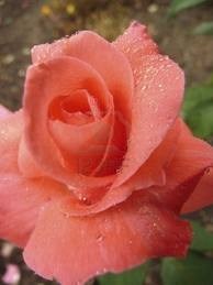 Obituary of James Ray Perry