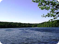 Obituary of Michael Rady