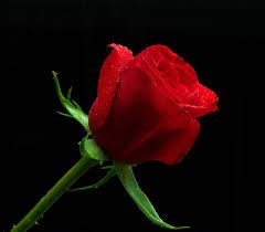 Obituary of Joan F. Hahn