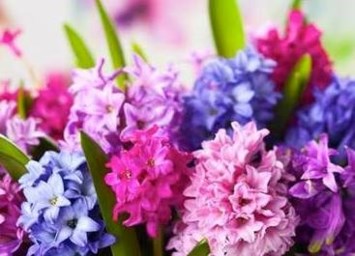 Obituary of Imogene N. James