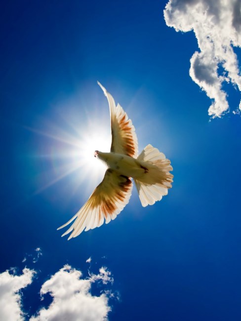 Obituary of Mary Lou Stubbs