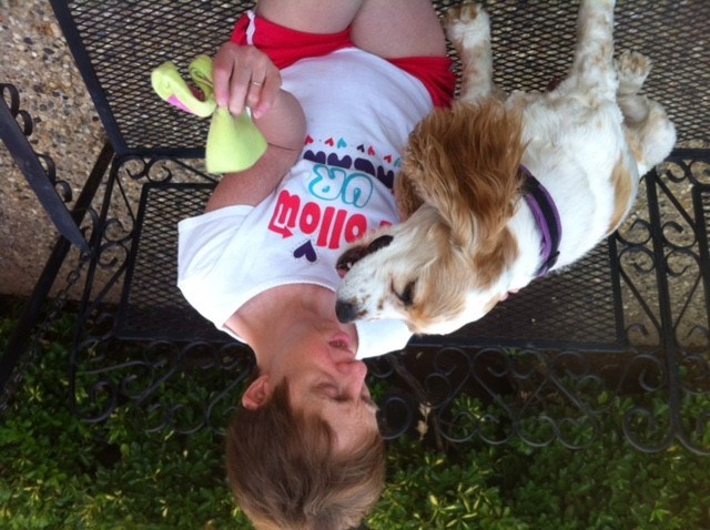 Obituary of Sue Ann DeMarco