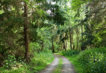 Obituary of Michael Ray Armour