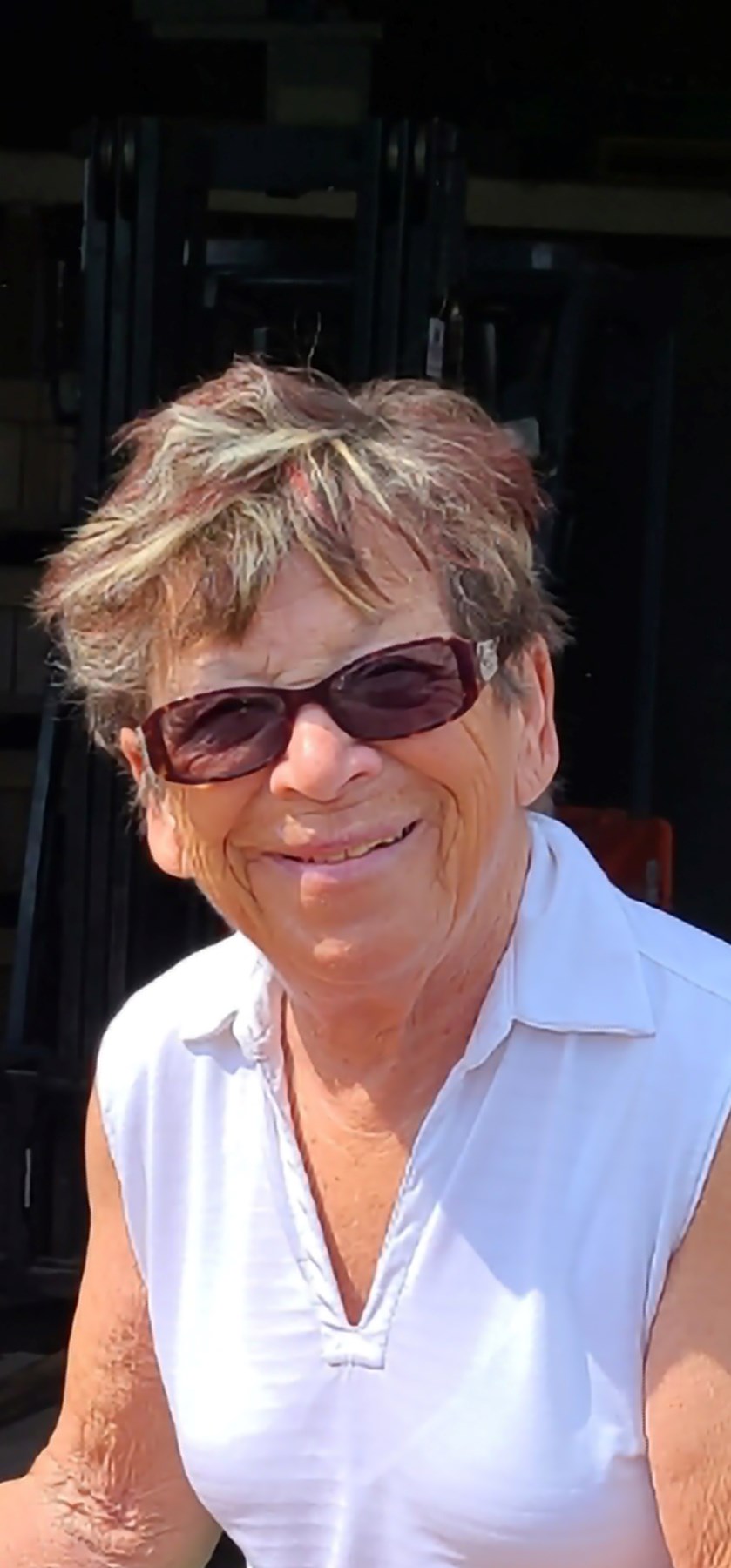 Obituary of Diane Frances Ryan