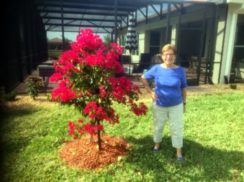 Obituary of Angela Ann Licari