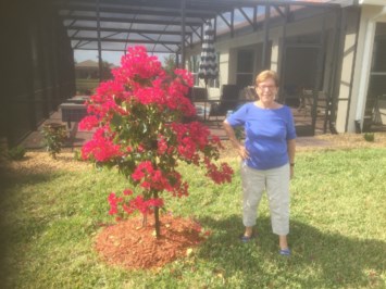 Obituary of Angela Ann Licari