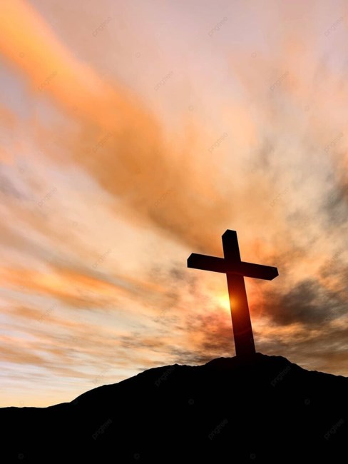 Obituario de Doyne N Wiggins