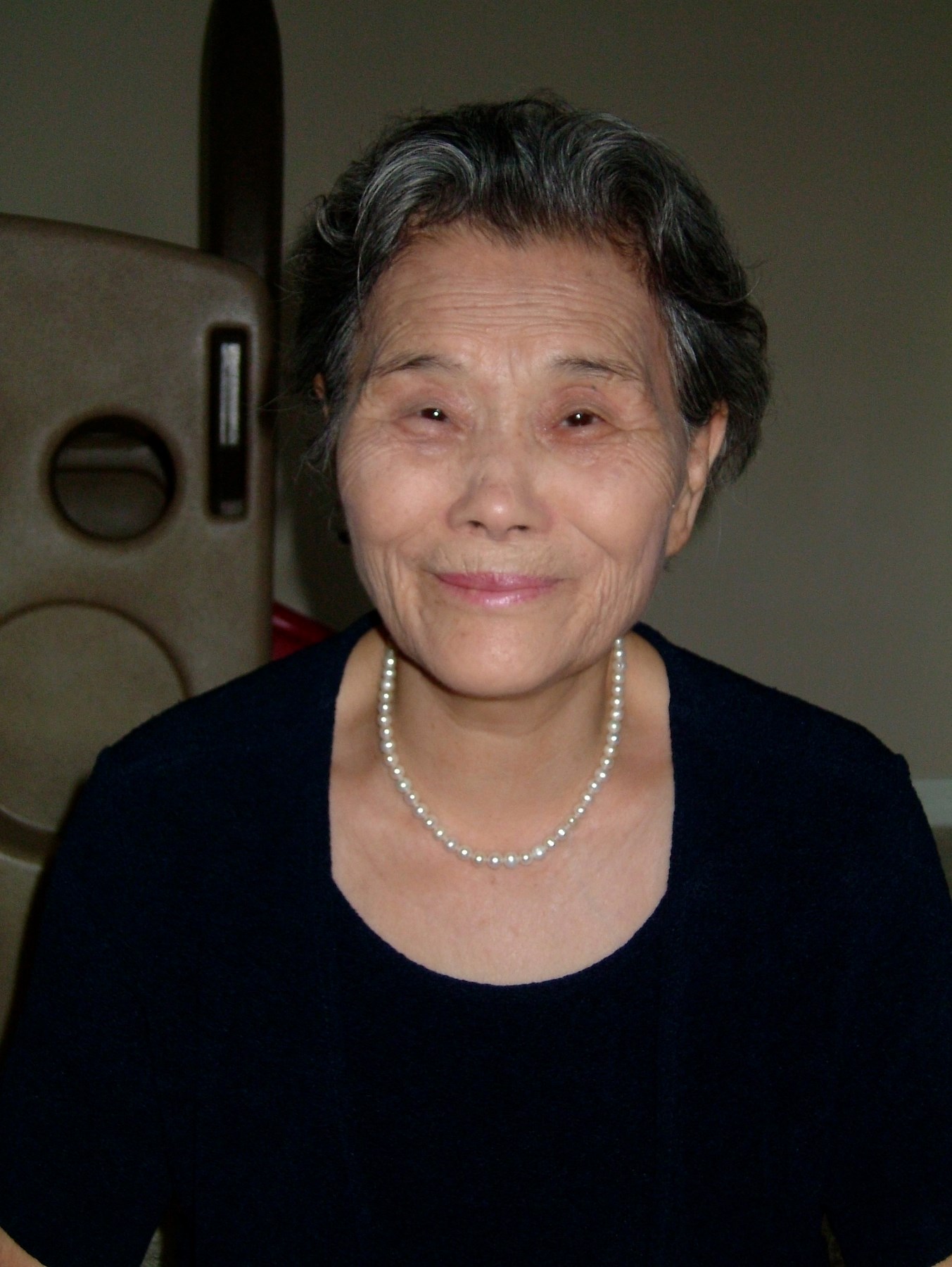 Obituary of Ha Cha Yi