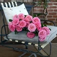 Obituary of Mercedes Figueroa Groveman