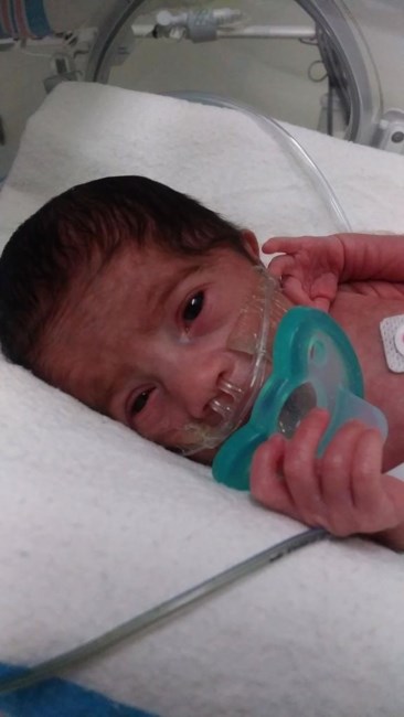 Obituary of Jayda Amaya Caraballo