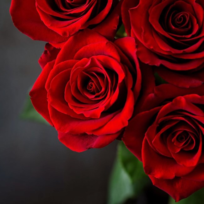 Obituary of Marlene Faye Long