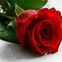 Obituary of Annie Lou Katzmann