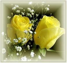 Obituary of Margaret Morris Miller