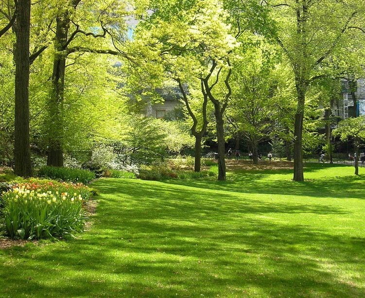 Obituary of Yvonne Patricia EDWARDS