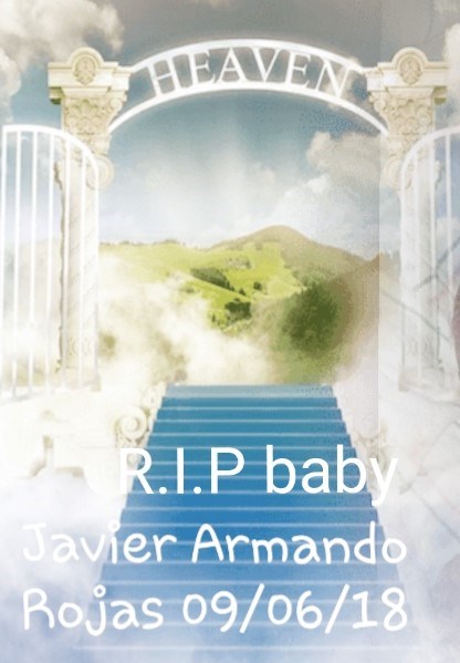 Obituary of Infant Javier Armando Rojas