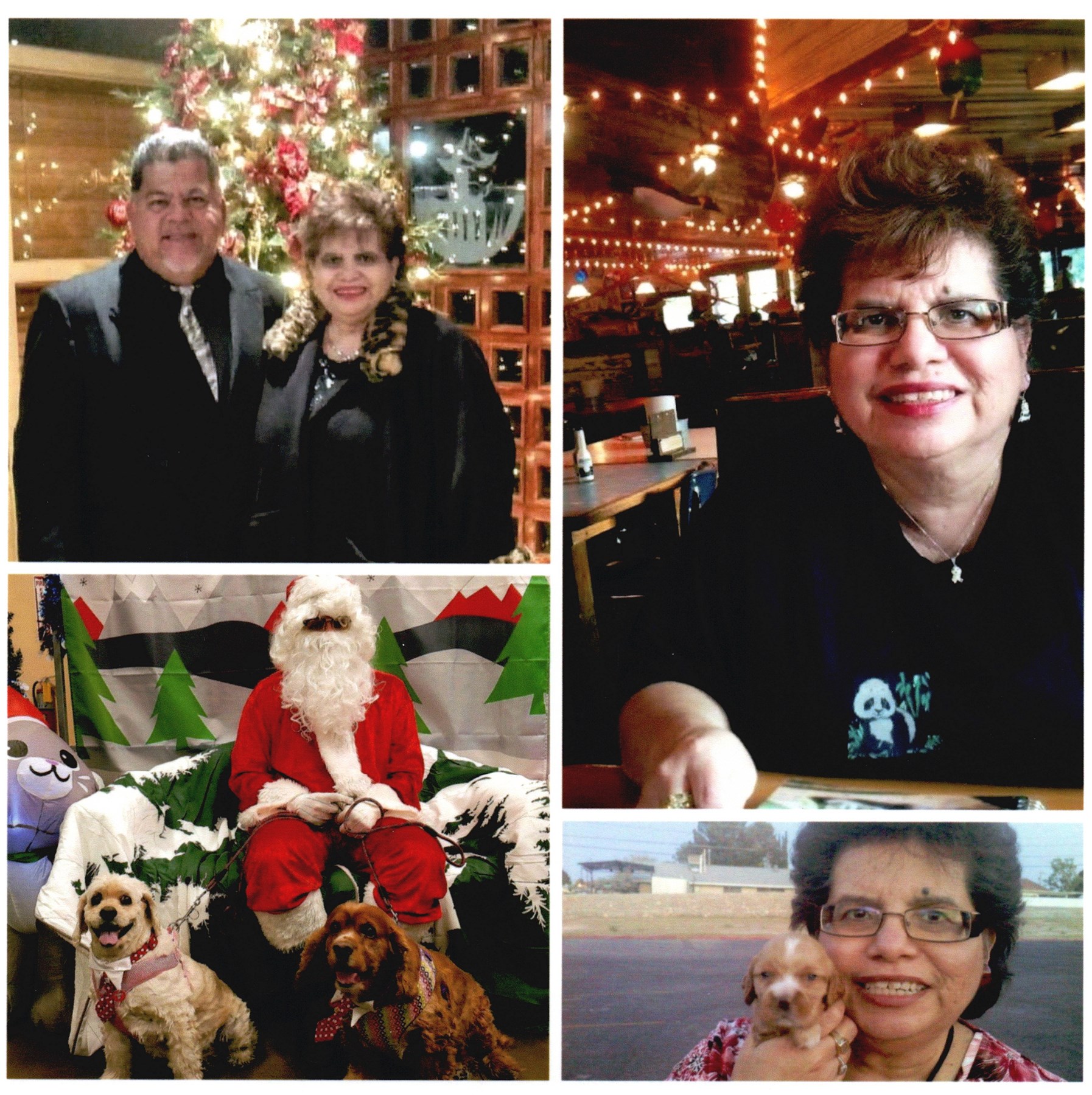 Obituary of Cynthia Ann Montanez