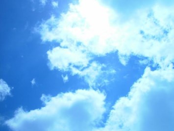 Obituary of Gus Anastos