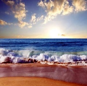 Obituary of Julio Aurelio Borges