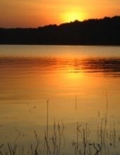 Obituary of Earl R. Primm