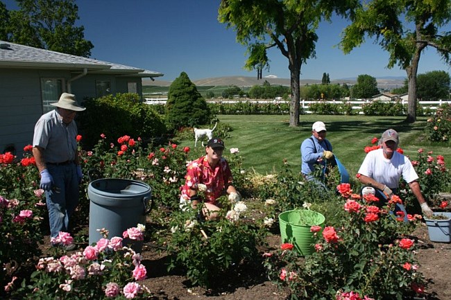 William O Halloran Obituary Yakima Wa