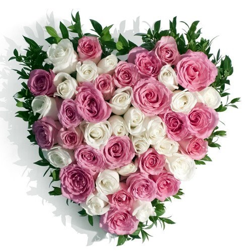 Obituary of Delia R Rodriguez