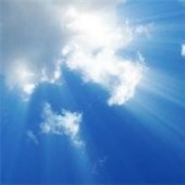 Obituary of Robert Maldonado