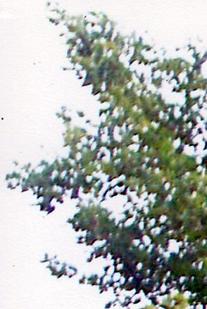 James Rutherford Obituary - Marion, NC