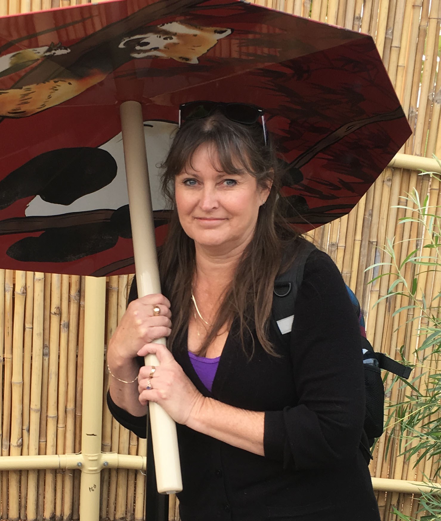 Obituary of Denise Elaine Seib