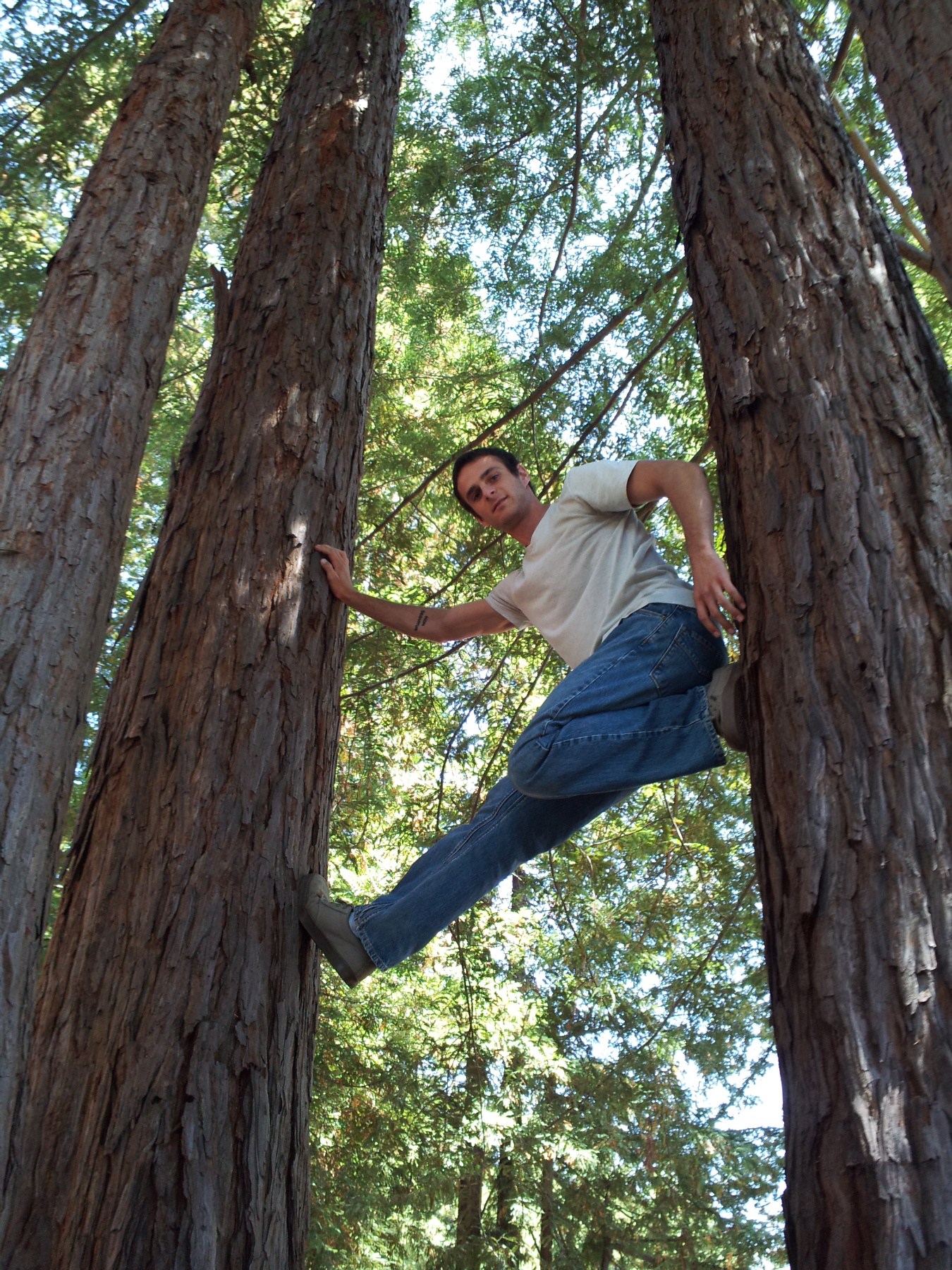 Obituary of Justin Michael Cook