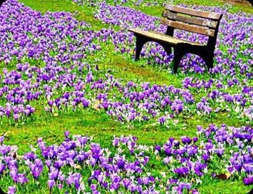 Obituary of Wendy Gail Hiller-Arcos