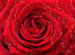 Obituary of Sandra Jean Hunt