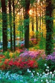 Obituary of Edith L Hansen