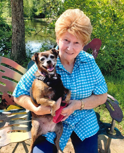 Obituary of Mrs. Shirley J. Creasman