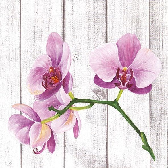 Obituary of Heather Martinez