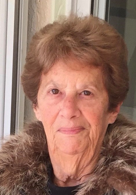 Obituary of Susan Fern Newman