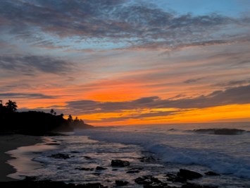 Obituary of Mary Theresa Dunn