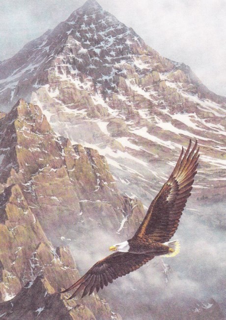 Obituary of William J Quigley III