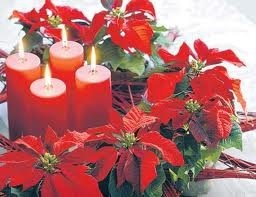 Obituary of Vera Sybil Tokarz