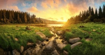 Obituary of Cecilio Vidrio