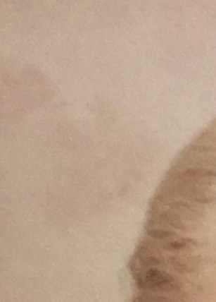 Joseph Spry Obituary Yuma, AZ