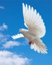 Obituary of Ogatha Gay Simpson