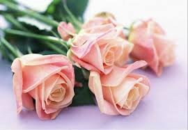 Obituary of Audrey Adella LaVigne