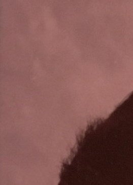 Linda Carter Obituary Houston, TX