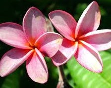 Obituary of Velma Kay Jorgensen