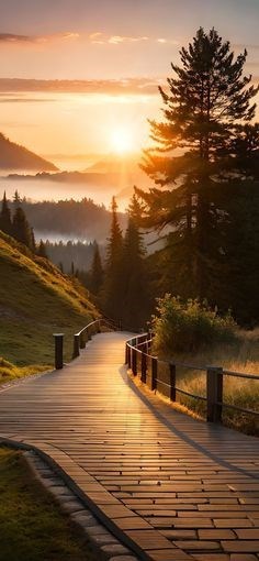 Obituary of Carlos Adrian Diaz