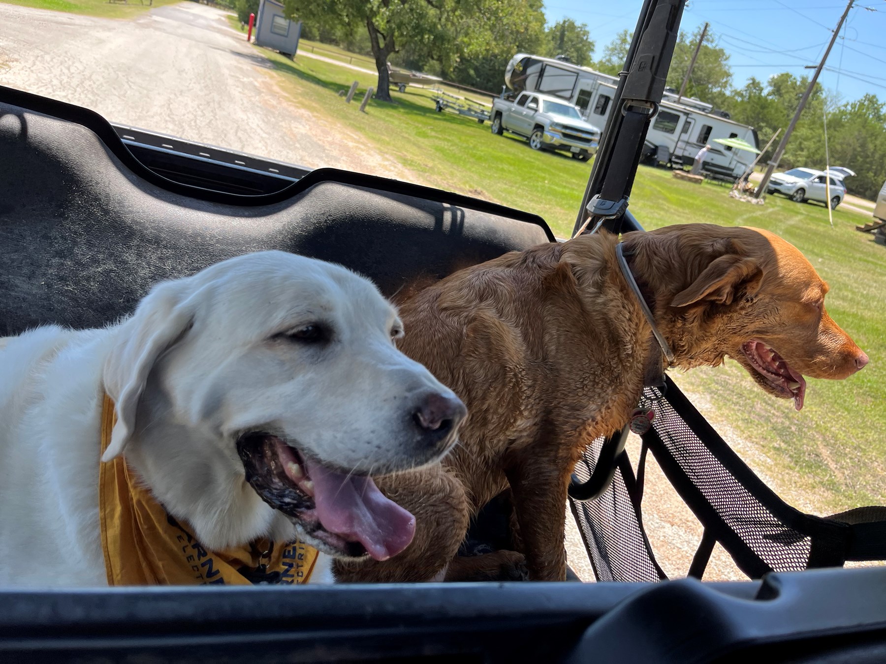 Michael Vernon Matthews Obituary Houston, TX